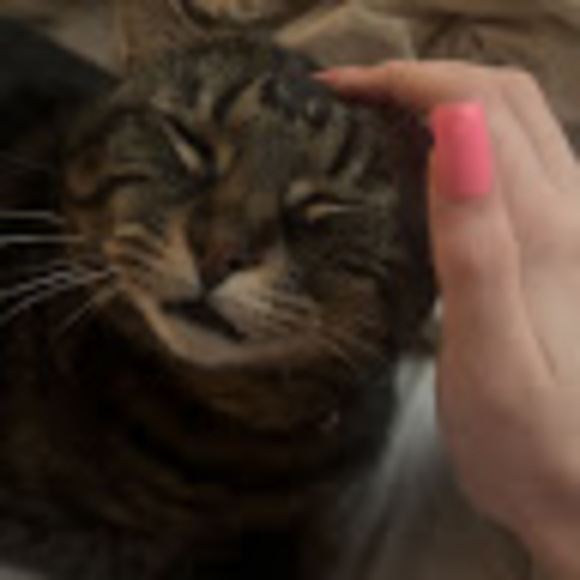 chloetondino1